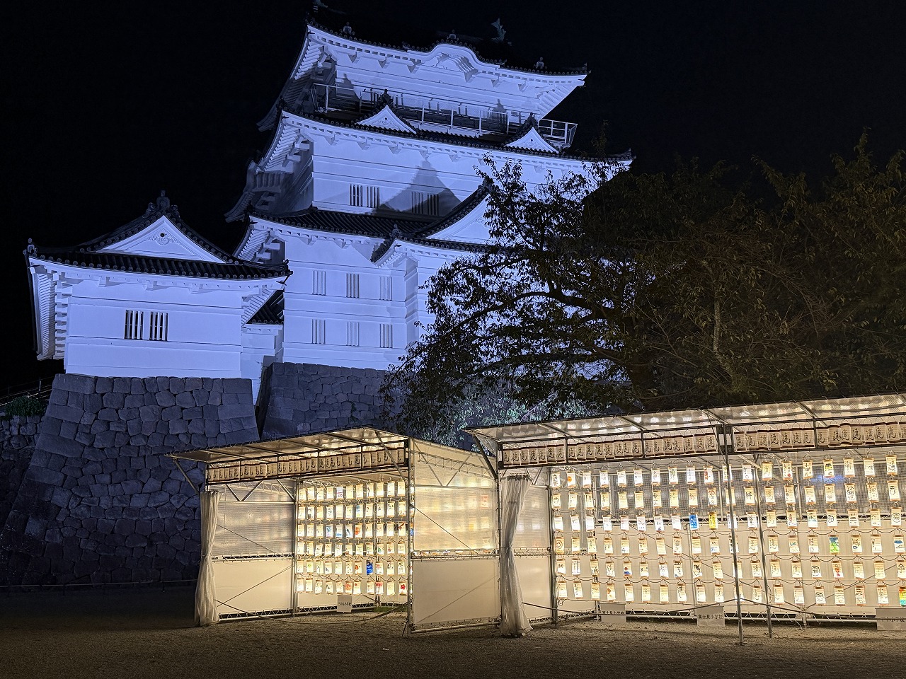 記事イメージ