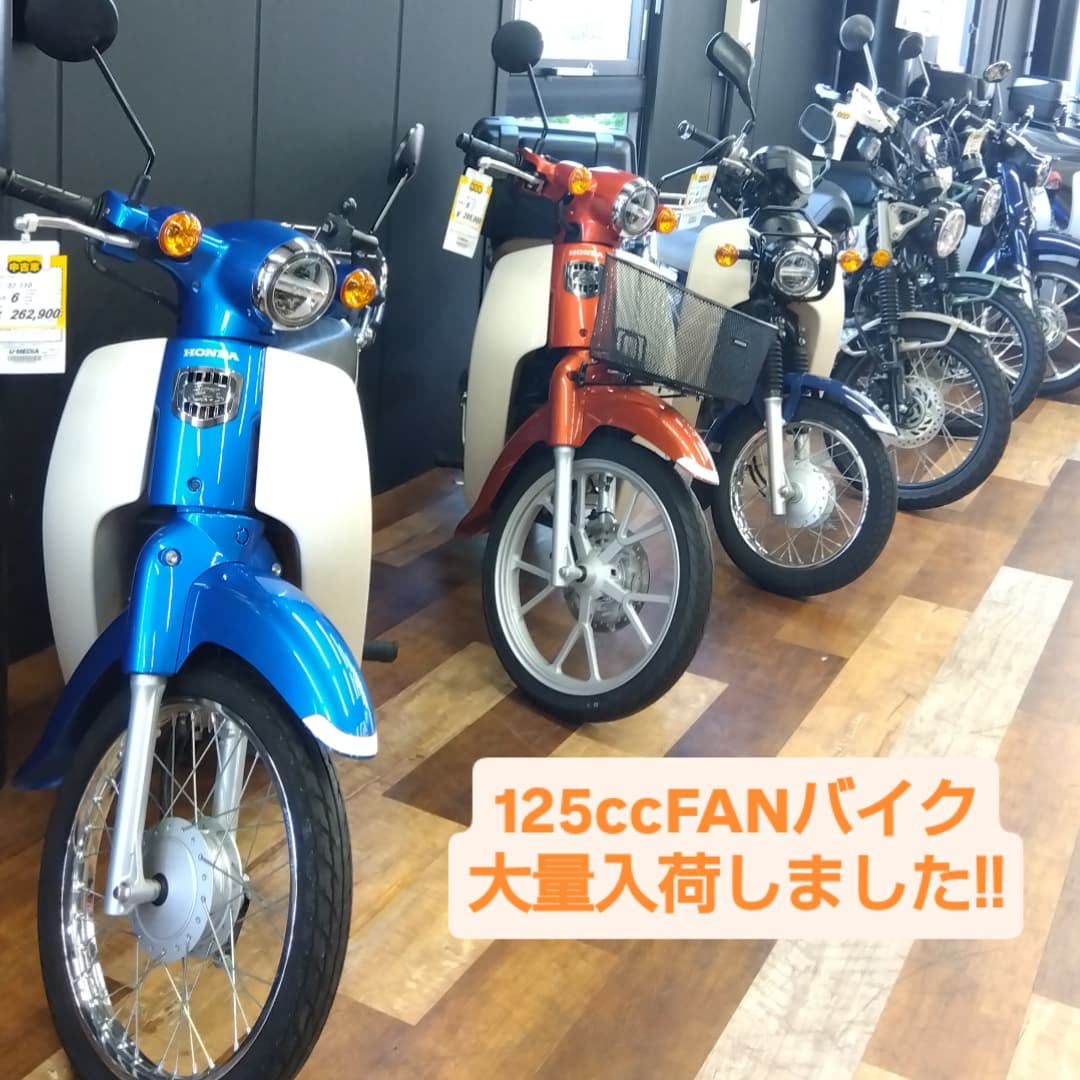 記事イメージ