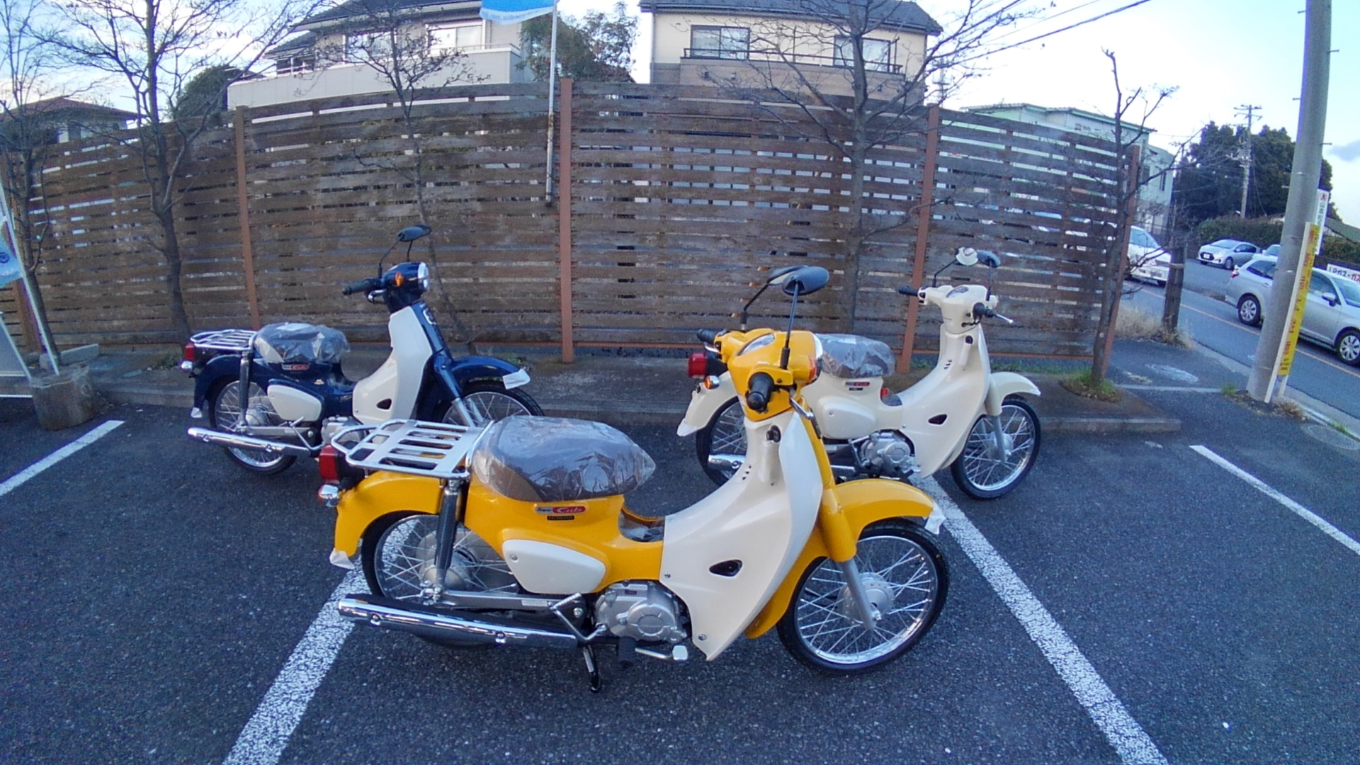新型スーパーカブ入荷いたしました 最新情報 U Media ユーメディア 中古バイク 新車バイク探しの決定版 神奈川 東京でバイク探すならユーメディア