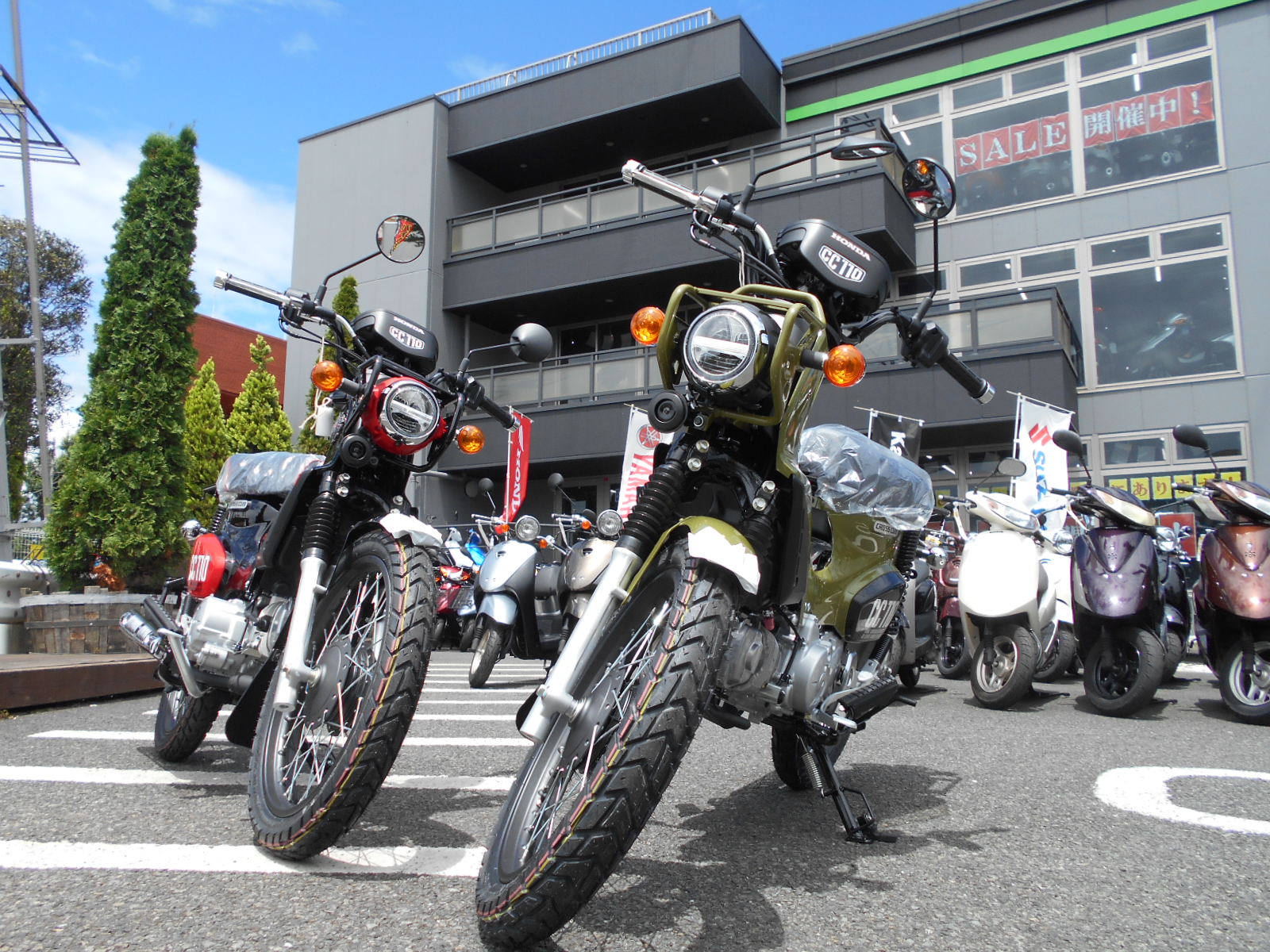 クロスカブ110即納できますよ くまモンも 最新情報 U Media ユーメディア 中古 バイク 新車バイク探しの決定版 神奈川 東京でバイク探すならユーメディア