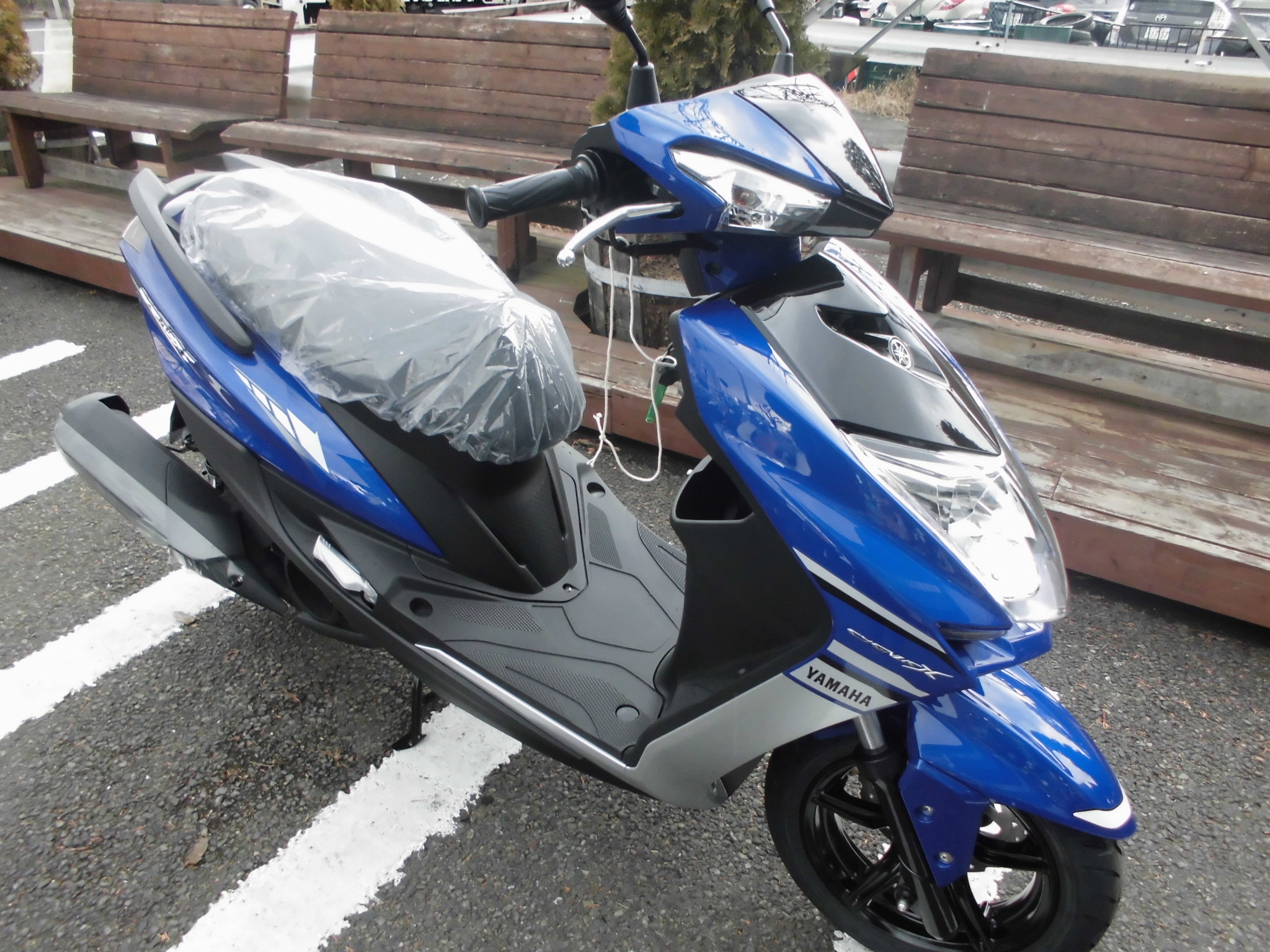 シグナスxsr限定車入庫しました 明日明後日はhd中古車商談会です 最新情報 U Media ユーメディア 中古 バイク 新車バイク探しの決定版 神奈川 東京でバイク探すならユーメディア