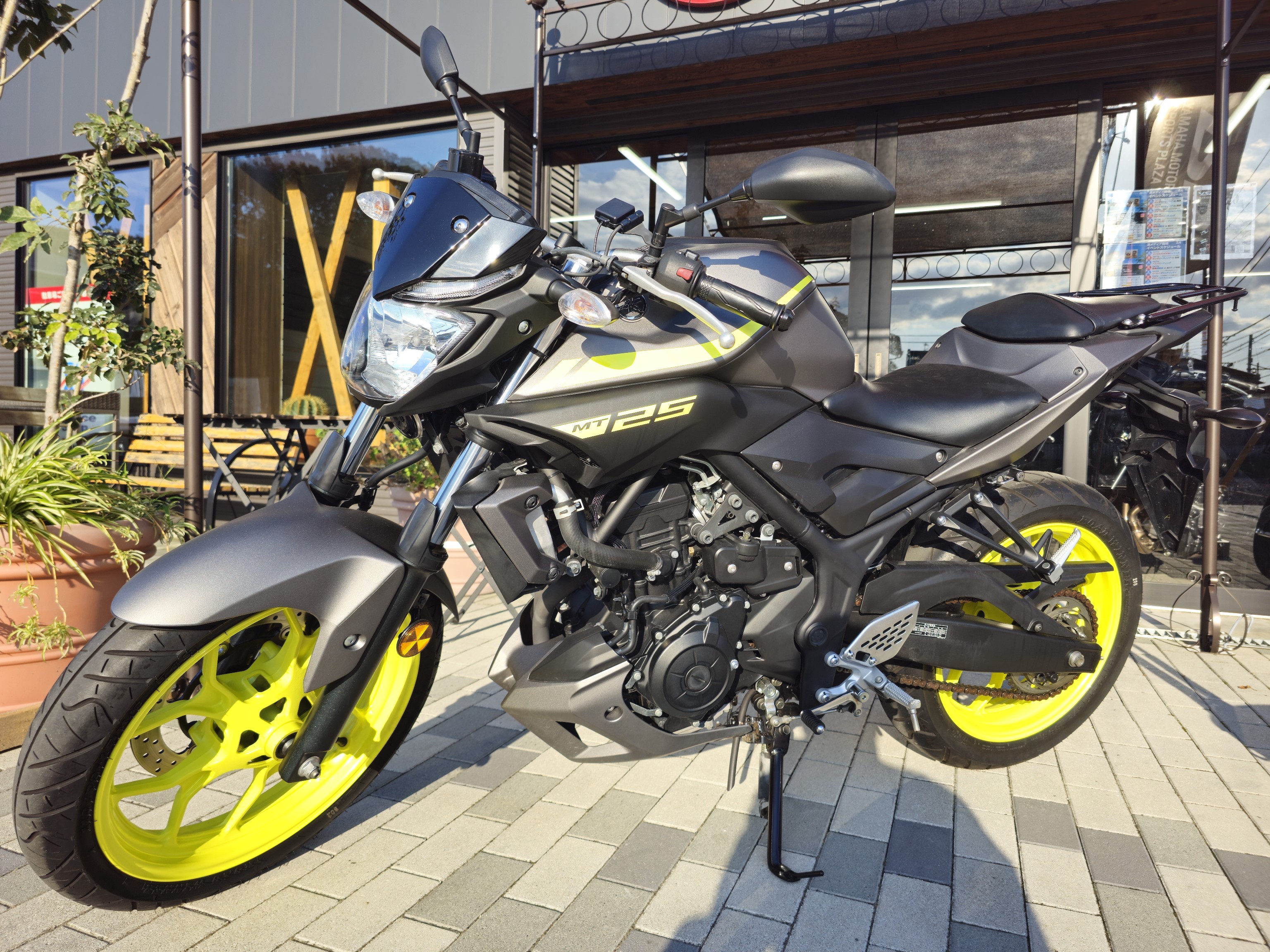 夜でも目立つ！ 「MT-25」中古車のご紹介！ - YSP湘南