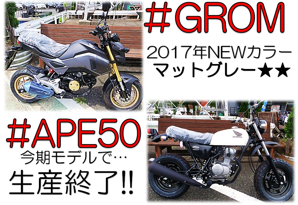 Gromの新色とエイプ50白新車が入りました 最新情報 U Media ユーメディア 中古バイク 新車バイク探しの決定版 神奈川 東京でバイク探すならユーメディア