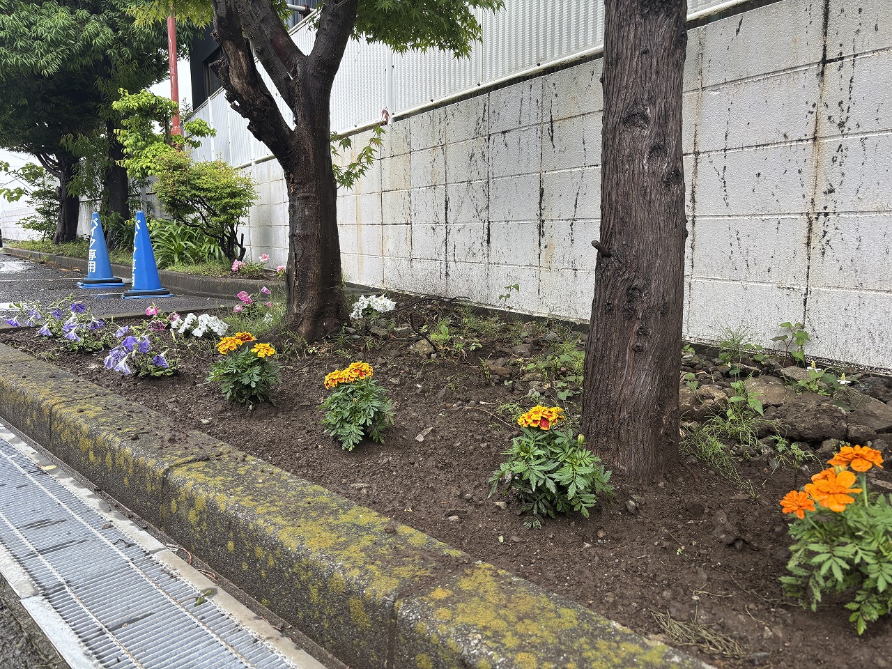 記事イメージ