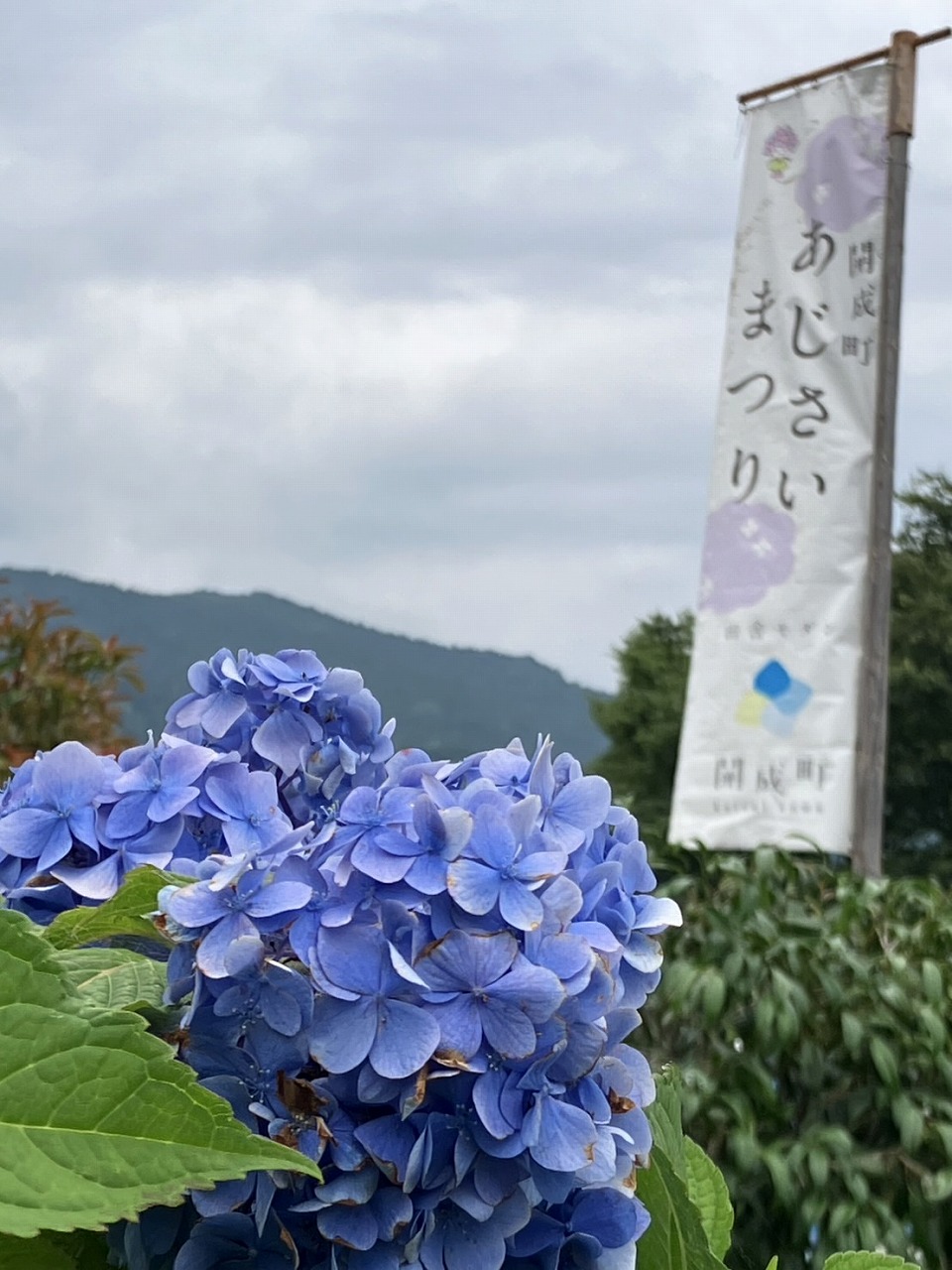 記事イメージ