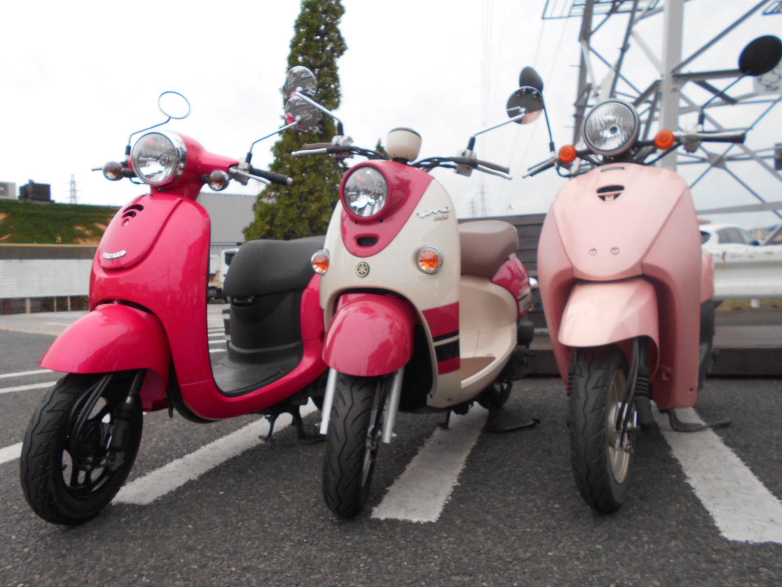 ピンクな原付 最新情報 U Media ユーメディア 中古バイク 新車 バイク探しの決定版 神奈川 東京でバイク探すならユーメディア