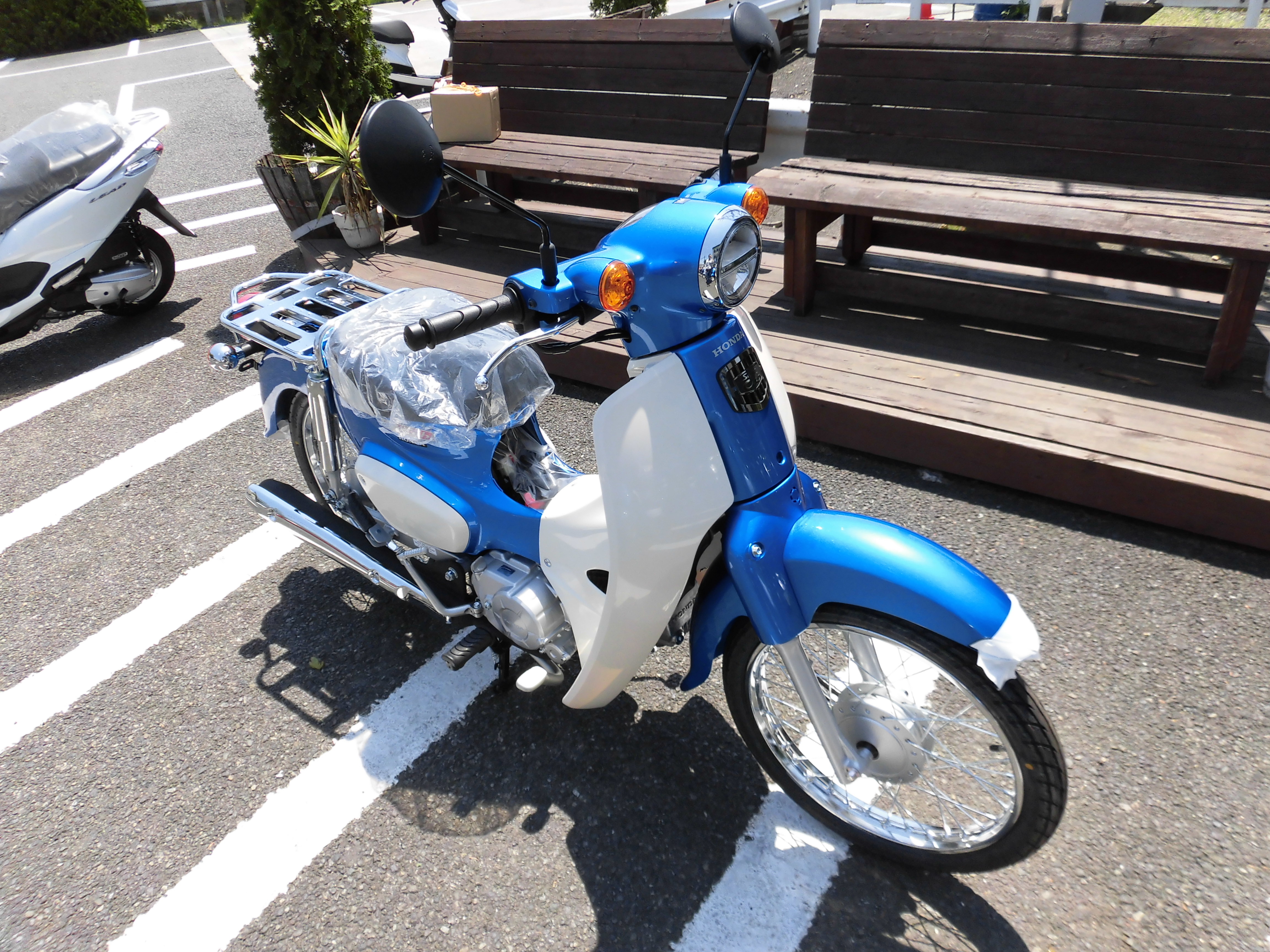 スーパーカブ110入庫しました 最新情報 U Media ユーメディア 中古バイク 新車バイク探しの決定版 神奈川 東京でバイク探すならユーメディア